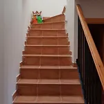 Serengueti بيت للعطل