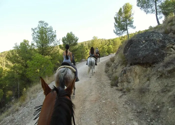 Serengueti Сasa de vacaciones *